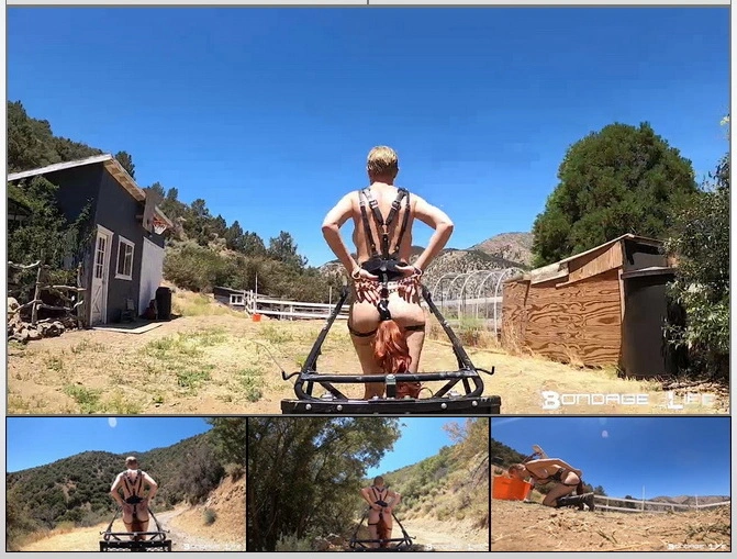 Rachel Greyhound Pony Cart Ride [HD|2022]