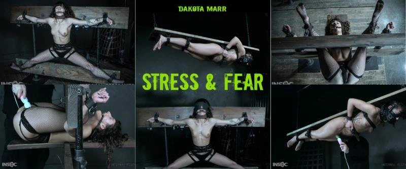 InfernalRestraints presents Dakota Marr - Stress & Fear [HD|2022]