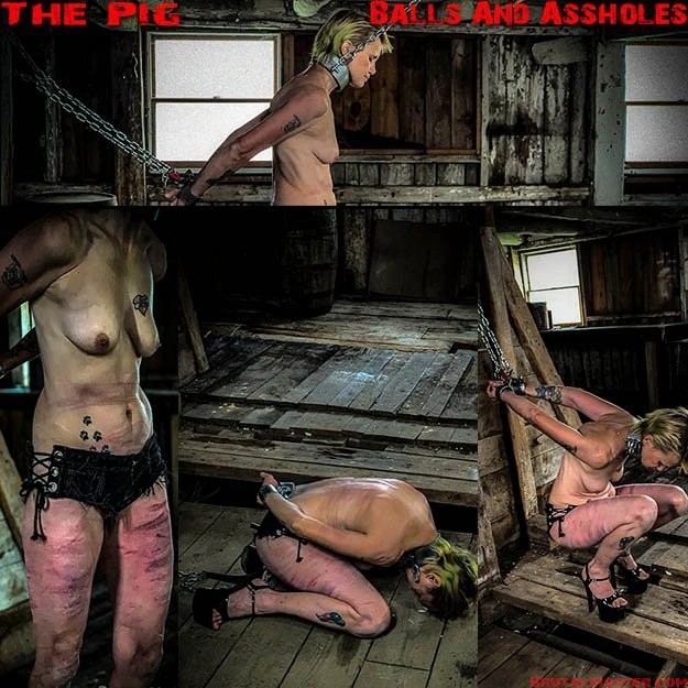 The Pig - Balls And Assholes [1920x1080|2022]