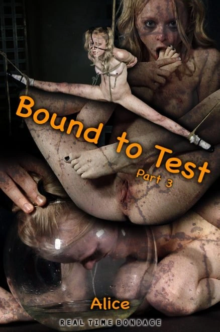 Bound to Test 3 [HD|2022]