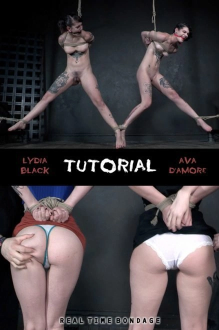 Tutorial [HD|2022]