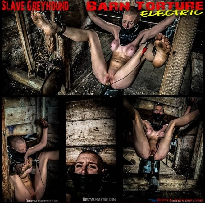 Slave Greyhound Barn Torture Electric [FullHD|2022]