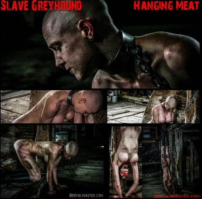 Brutal Master Hanging Meat: Slave Greyhound [1920x1080|2019]