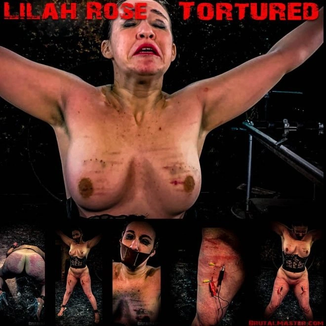 Tortured [1920x1080|2019]