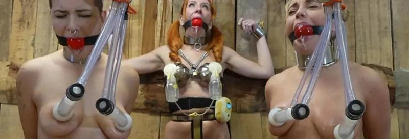 Emily Addams, Zoey, Melodie A Barn Full [FullHD|2026] Hu Cows